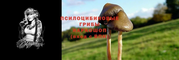 PSILOCYBIN Наволоки