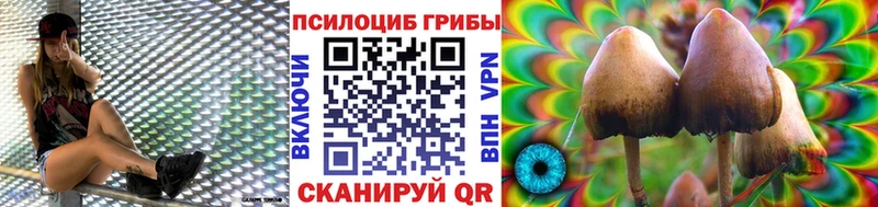 Псилоцибиновые грибы GOLDEN TEACHER  Дубовка 